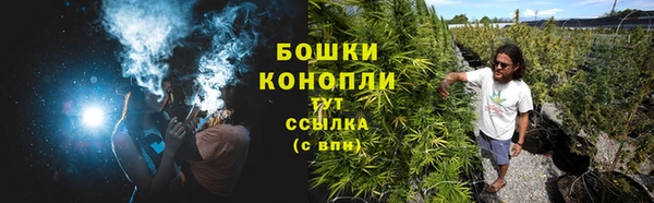 марки lsd Белокуриха