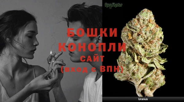 марки lsd Белокуриха